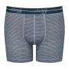 Grårandig