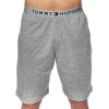 Tommy Hilfiger Original Jersey Short