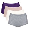 4-Pack Sloggi Basic Plus Maxi Panty