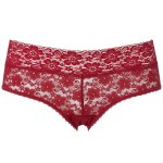 Triumph Lace Hipster 15