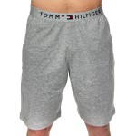 Tommy Hilfiger Original Jersey Short