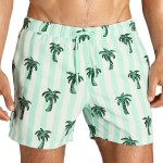 Björn Borg Sylvester Swim Shorts