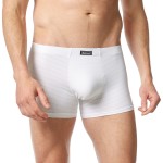 Bruno Banani Check Line 2.0 Shorts