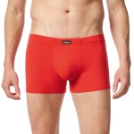 Bruno Banani Check Line 2.0 Shorts