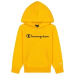 Champion Classics Hooded Sweatshirt For Boys