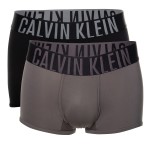 2-Pack Calvin Klein Intense Power Micro Low Rise Trunk