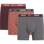 6-Pack Nike Everyday Cotton Boxer 