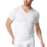 Bruno Banani Check Line 2 0 V-Shirt