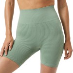 Björn Borg Studio Seamless Ribbed Shorts