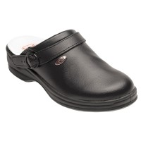 Scholl New Bonus