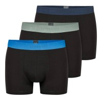 3-Pack Schiesser 95-5 Organic Cotton Woven Shorts