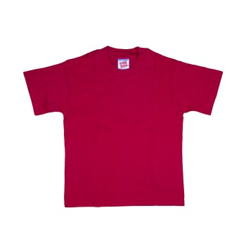 2-Pack Hanes Junior Top-T CSA