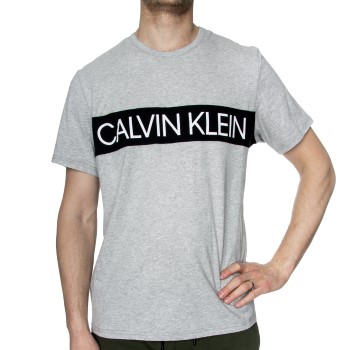 Calvin Klein Statement 1981 Graphic SS Crew Grå bomull Large Herr | apparel & accessories - clothing - shirts & tops | ModeLejon