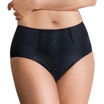 Anita Airita High Waist Brief Plus