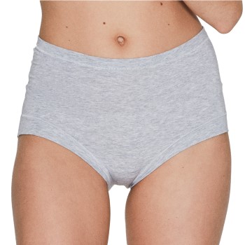 JBS of Denmark Trosor Bamboo Maxi Brief Ljusgrå Small Dam | apparel & accessories - clothing - underwear & socks - lingerie | ModeLejon