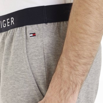 Tommy Hilfiger Loungewear Jersey Shorts