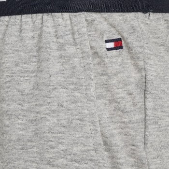 Tommy Hilfiger Loungewear Jersey Shorts