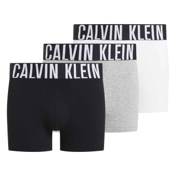 Calvin Klein Kalsonger 3P Intense Power Trunks Vit/Grå bomull Medium Herr
