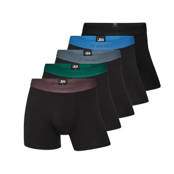 JBS Kalsonger 5P Tights Bamboo Boxers Flerfärgad-2 Large Herr | apparel & accessories - clothing - underwear & socks - underwear | ModeLejon