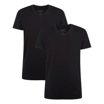 2-Pack Bamboo Basics Velo T-Shirt V Neck