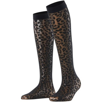 Falke Wild Breed 20 DEN Women