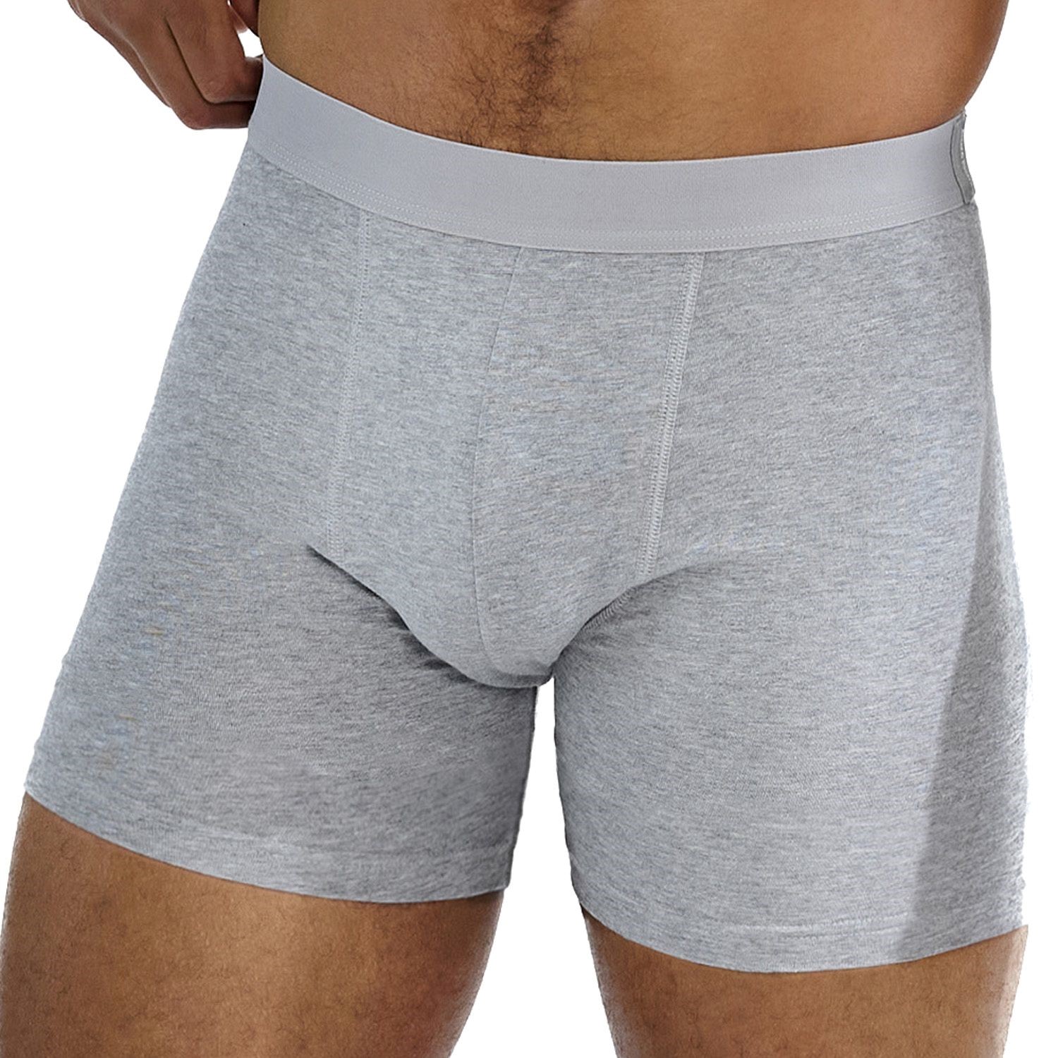 Bread and Boxers Brief Boxer Long Leg