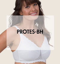 protes-bh